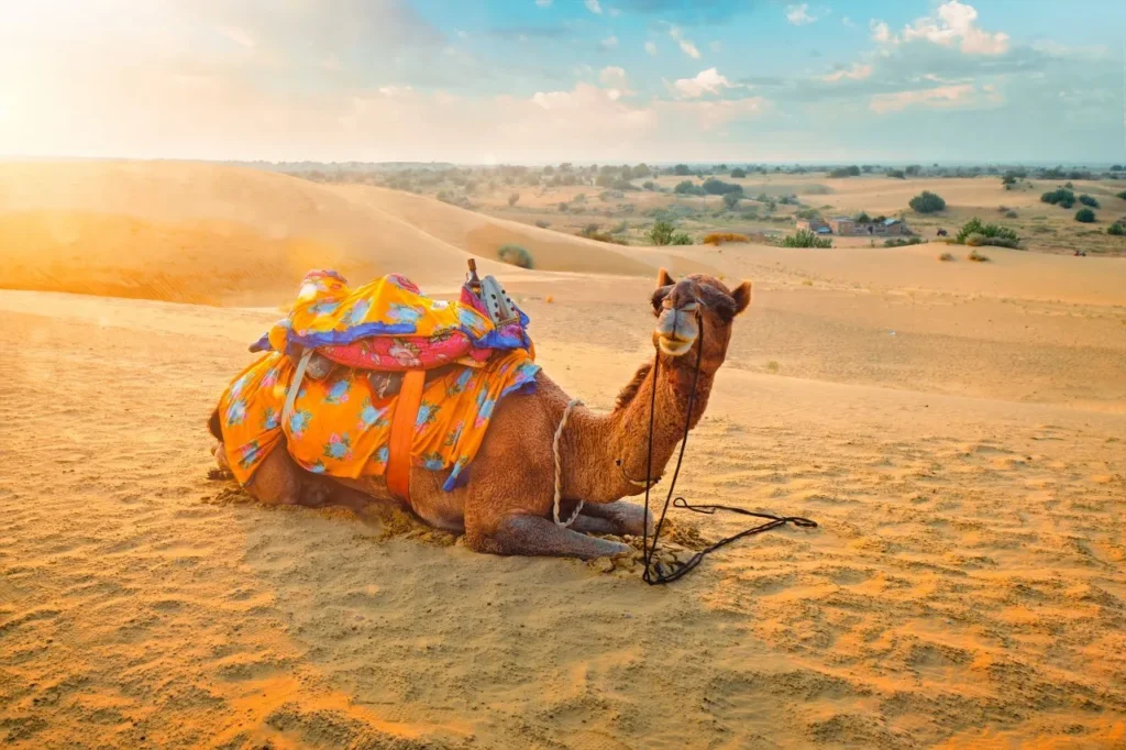 Top 10 Things to Do in Jaisalmer for an Unforgettable Rajasthan Holiday