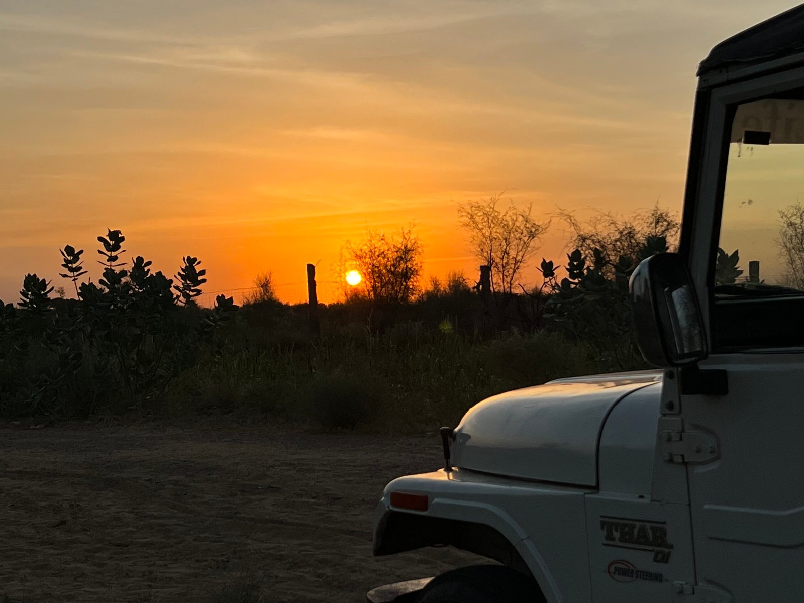 Jeep safari and dune bashing in Jaisalmer desert